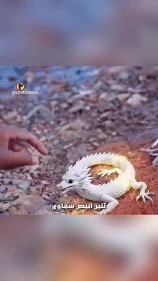 إزاي قدر الراجل يجمع 2 مليون دولار في يوم واحد بس؟

#shorts #قصة #نجاح #أسرار_النجاح #تحفيز #V2_movies55