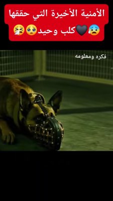 😳 أمنيته الأخيرة كانت بسيطة… لكنها غيّرت حياة جندي كامل!
فيلم Dog يحكي رحلة مؤثرة بين جندي وكلب عسكري في مهمتهما الأخيرة.
🎭 دراما – مغامرة – قصة واقعية
⭐ بطولة: تشانينغ تيتوم

#فيلم_Dog #قصير #ملخص_فيلم #كلب_عسكري #قصة_حقيقية #أفلام_درامية #كلب_وفي #وفاء_الحيوانات #MovieSummary #DogMovie #MilitaryDog #ChanningTatum
