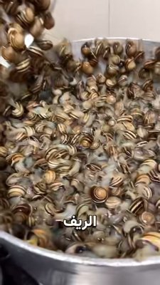 🥘 كيف تحوّل الحَلَزون من كائن مزعج إلى وجبة شهية؟

#معلومات_غريبة #حقائق_مذهلة #مأكولات_تقليدية #قصص_صينية #اكتشف_العالم #ترند