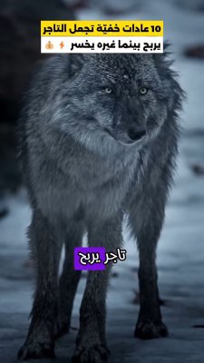 10 عادات خفيّة تجعل التاجر يربح بينما غيره يخسر ⚡💰
الفرق الحقيقي بين تاجر ناجح وآخر متعثر لا يتعلق برأس المال أو عدد الموظفين… بل بعادات يومية تصنع الفارق.
في هذا الفيديو ستكتشف التفاصيل كاملة ✅ 

#تجارة #ريادة_أعمال #نصائح_للتجار #تطوير_الذات #نجاح #مشاريع #بيع #تسويق